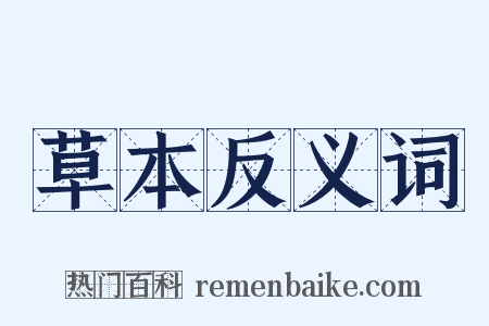 草本反义词是什么意思的图片